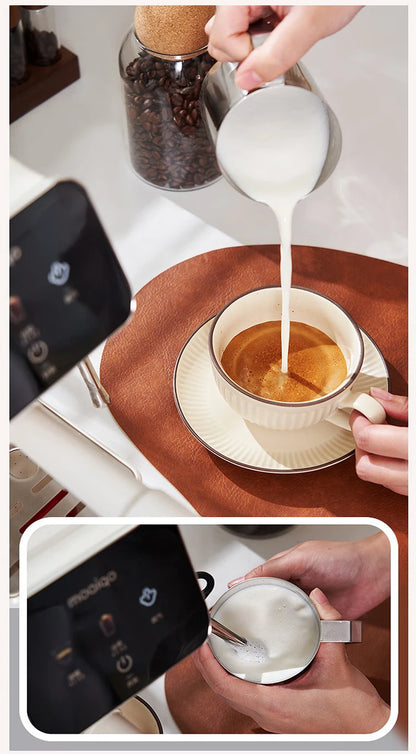 20bar Italian Coffee Machine Household Semi-automatic Hot and Cold Double Extraction with Steam Milk Frother Espresso Machine